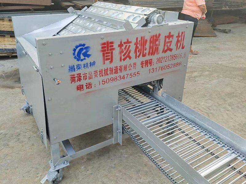 核桃清洗機(jī)